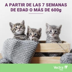 Pipetas Felis Solución Spot-On Para Gatos (42,3mg) -Productos Para Gatos 07 VECTRA Felis age 63db916ae980a