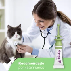 Pipetas Felis Solución Spot-On Para Gatos (42,3mg) -Productos Para Gatos 08 VECTRA Felis vet 63db916b6fe71