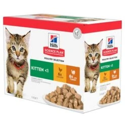 Hill's Science Plan Hill's Kitten Para Gatos -Productos Para Gatos 101365 pla hills science plan kitten gefluegel auswahl 5