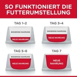 Hill's Science Plan Hill's Kitten Para Gatos -Productos Para Gatos 102009 hill s science plan kitten seefisch hs 01 8