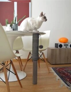 Poste Rascador Para Gatos 5 Poste Rascador Para Gatos -Productos Para Gatos 107846 it cat pole 372 big 3 e68bf96f 64ad 4958 87bf 6015a5381e10 1