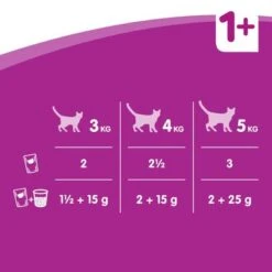 Whiskas 1+ Años 96 X 85 En Bolsitas -Productos Para Gatos 121398 whiskas klassischeauswahl 96x100g fuetterung 7