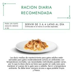 Purina Gourmet Nature's Creations 12 X 85 G 17 Purina Gourmet Nature's Creations 12 X 85 G -Productos Para Gatos 12425935 feeding guide es min 5