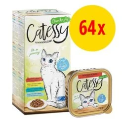 Catessy En Tarrinas 64 X 100 G - Pack Mixto