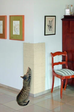 Trixie Rascador De Pared Sisal Para Gatos Beige -Productos Para Gatos 144435 1