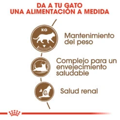 ROYAL CANIN Ageing 12+ Sterilised Pienso Para Gato De Edad Avanzada Esterilizado -Productos Para Gatos 15327 2 3