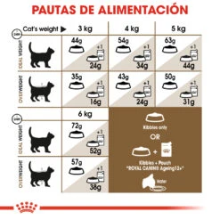 ROYAL CANIN Ageing 12+ Sterilised Pienso Para Gato De Edad Avanzada Esterilizado -Productos Para Gatos 15327 6 7