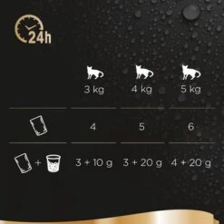 Sheba Fresh & Fine 72 X 50 G - Pack % -Productos Para Gatos 159697 mars sheba fresh fine fish variation fr 9