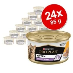 PURINA PRO PLAN Kitten Healthy Start 24 X 85 G En Latas -Productos Para Gatos 171799 purina proplan cat kitten 85g hs 03 5