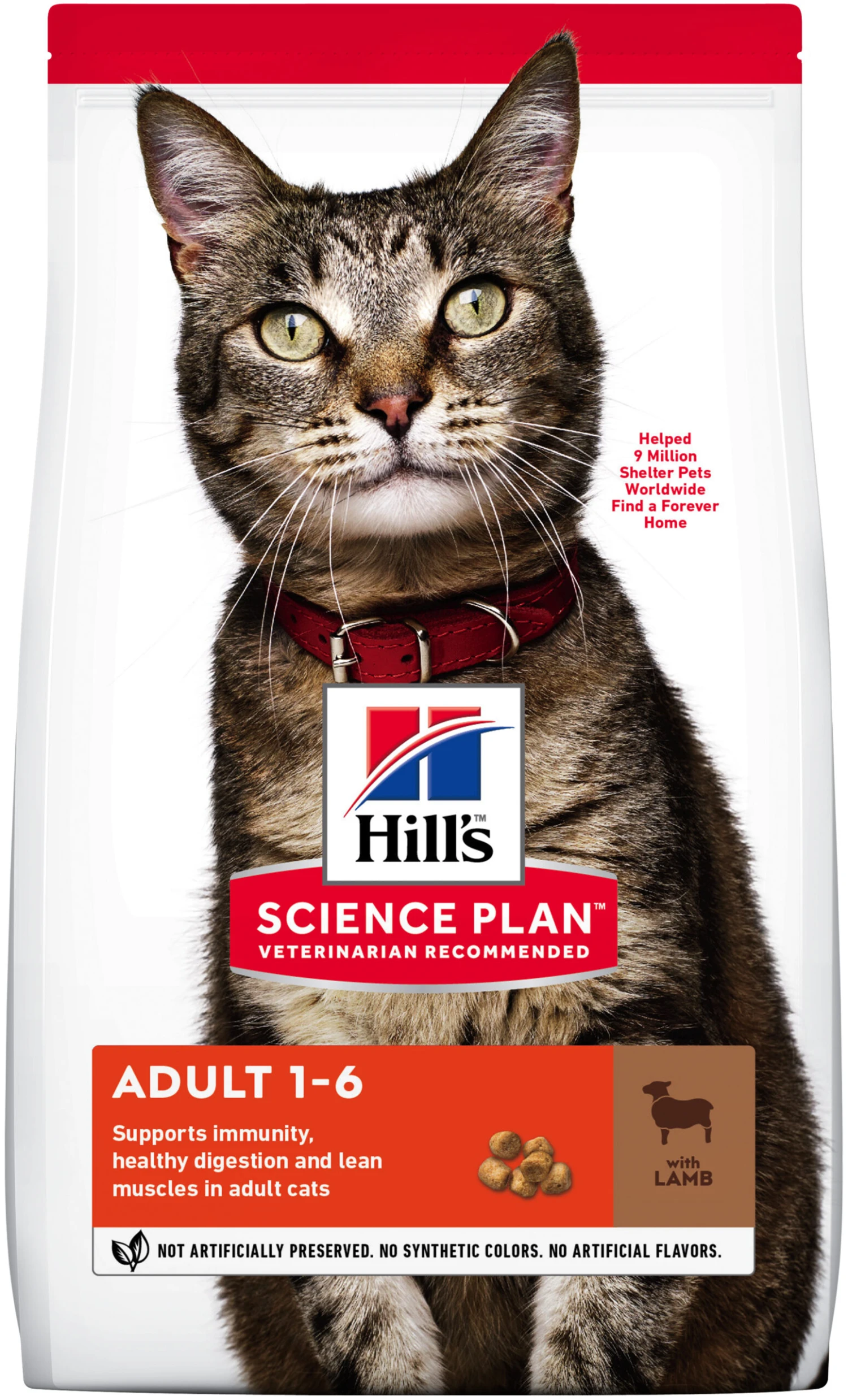 Hill's Science Plan Adult De Cordero & Arroz 1 Hill's Science Plan Adult De Cordero & Arroz
