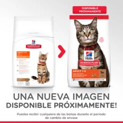 Hill's Science Plan Adult De Cordero & Arroz 5 Hill's Science Plan Adult De Cordero & Arroz -Productos Para Gatos 188551 52742022949 coming soon 2