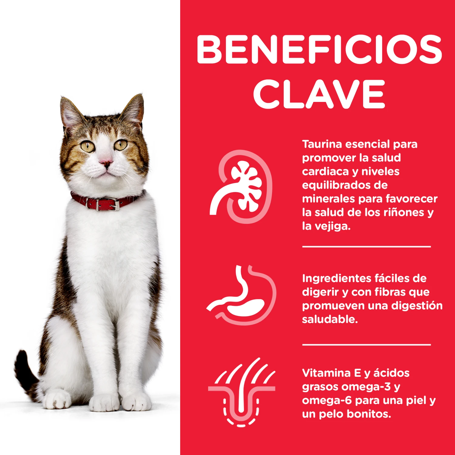 Hill's Science Plan Adult Senior +7 De Pollo 2 Hill's Science Plan Adult Senior +7 De Pollo - Imagen 2