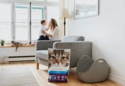 Classic Bosque Nordico Aglomerante 7 Classic Bosque Nordico Aglomerante -Productos Para Gatos 191418 4