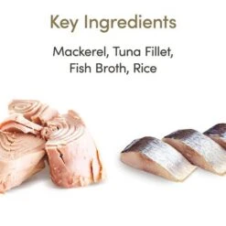 Applaws Latas En Caldo Para Gatos 12 X 156 G 39 Applaws Latas En Caldo Para Gatos 12 X 156 G -Productos Para Gatos 1 71551 applaws bruehe meeresfisch 156g hs 01 4