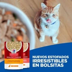 Hill's Science Plan Hill's Adult Sterilised Healthy Cuisine Con Pollo Y Salmón Para Gatos -Productos Para Gatos 1 cat key visual 0