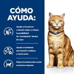Hill's C/d Prescription Diet Latas Comida Húmeda Para Gatos -Productos Para Gatos 1 pd cd multicare cat bk20177 bk25948m bk26382m bk27563m bk28017 how helps es 5