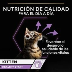PURINA PRO PLAN Kitten Healthy Start 24 X 85 G En Latas -Productos Para Gatos 1 puprpnwcadvhenocach23junbjcles 2