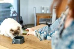 Virbac Veterinary HPM U2 Urology Dissolution & Prevention 7 Virbac Veterinary HPM U2 Urology Dissolution & Prevention -Productos Para Gatos 2018 03 07 47 64256c53d313b