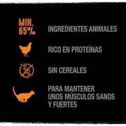 Crave 16 X 85 G En Bolsitas Para Gatos - Pack Mixto -Productos Para Gatos 2020 04 c wet benefits turkey chicken es 5