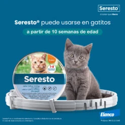 Collar Antiparasitario Para Gatos -Productos Para Gatos 20220914 Ecommerce Seresto gatitos 63eb96d711558