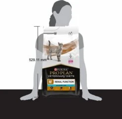 NF Renal Function ST/OX -Productos Para Gatos 270388317 62b0e2c61a477