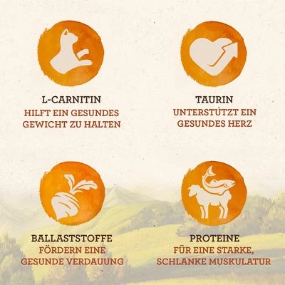 IAMS Naturally Senior - Imagen 2