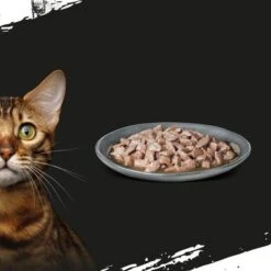 Crave 16 X 85 G En Bolsitas Para Gatos - Pack Mixto -Productos Para Gatos 286001 mars crave pouch multipack trunfisch 85g hs 04 6