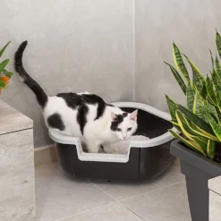 FERPLAST Toilette Dama -Productos Para Gatos 3 0190006819 1800x1800 63ab0f7a90a54