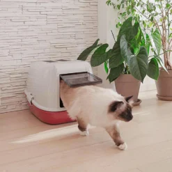 FERPLAST Bandeja Sanitaria Cedazo Magix 15 FERPLAST Bandeja Sanitaria Cedazo Magix -Productos Para Gatos 3 0190013607 1800x1800 63ad5996ac54e