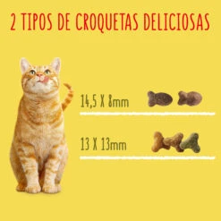 FRISKIES Adulto Bacalao Y Verduras -Productos Para Gatos 3010470181953 8 64e35c35dcbc6