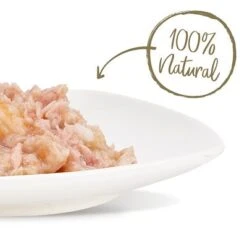 Applaws Selection 12 X 70g -Productos Para Gatos 31588 thunfisch pazifik garnelen hs 03 5