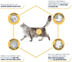 Advance Cat Adult Sensitive Salmon Y Arroz -Productos Para Gatos 3358 3 3