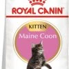 ROYAL CANIN KittenMaine Coon Pienso Para Gatito De Raza