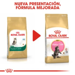 ROYAL CANIN KittenMaine Coon Pienso Para Gatito De Raza -Productos Para Gatos 3466 rc fbn kittenmainecoon cv8 018 spain spanish 7
