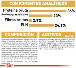 ROYAL CANIN KittenMaine Coon Pienso Para Gatito De Raza -Productos Para Gatos 3466 rc fbn kittenmainecoon cv9 1 002 spain spanish 8