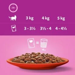 Whiskas 1+ Años 96 X 85 En Bolsitas -Productos Para Gatos 356096 mars sparpaket whiskas frischebeutel 48x85g hs 07 0