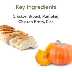 Applaws Selection 12 X 70g -Productos Para Gatos 361999 applaws huhn kurbis hs 02 5