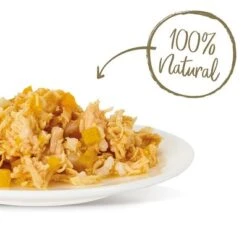 Applaws Selection 12 X 70g -Productos Para Gatos 361999 applaws huhn kurbis hs 03 2