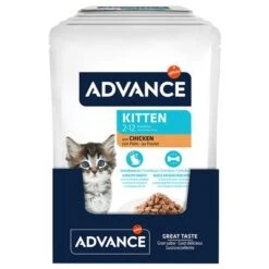 Advance Kitten Con Pollo Comida Húmeda Para Gatos -Productos Para Gatos 374500 advance kitten huhn 12x85g hs 02 7