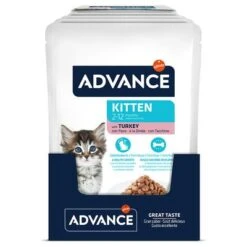 Advance Kitten Con Pavo Comida Húmeda Para Gatos -Productos Para Gatos 374596 affinity advance kitten truthahn hs 03 3