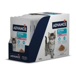 Advance Kitten Con Pavo Comida Húmeda Para Gatos -Productos Para Gatos 374596 pla affinity advance kitten truthahn hs 01 3