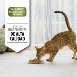 PRO PLAN Optirenal Sterilised Adult Salmón -Productos Para Gatos 424734 optirenal sterilised adult de salmon 4 3 jpeg 2