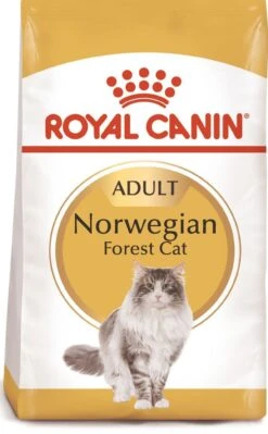 ROYAL CANIN Norweigan Forest Pienso Para Gato Adulto Bosque De Noruega