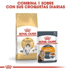 ROYAL CANIN Norweigan Forest Pienso Para Gato Adulto Bosque De Noruega -Productos Para Gatos 42931 rc fbn norwegianfc cv3 8