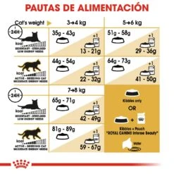 ROYAL CANIN Norweigan Forest Pienso Para Gato Adulto Bosque De Noruega -Productos Para Gatos 42931 rc fbn norwegianfc cv4 5