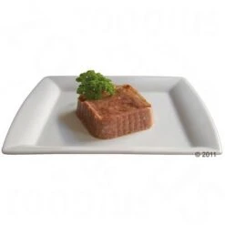 Beaphar Dieta Insuficiencia Renal 6 X 100 G -Productos Para Gatos 45407 beaphar nierendiaet futter 1