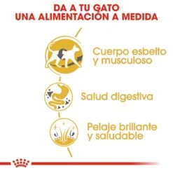 ROYAL CANIN Siamese Pienso Para Gato Adulto Siamés -Productos Para Gatos 4987 rc fbn siamese cv2 2