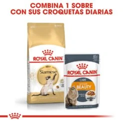 ROYAL CANIN Siamese Pienso Para Gato Adulto Siamés -Productos Para Gatos 4987 rc fbn siamese cv3 8