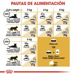 ROYAL CANIN Siamese Pienso Para Gato Adulto Siamés -Productos Para Gatos 4987 rc fbn siamese cv4 5