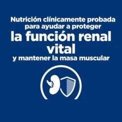 Hill's PD Feline K/d -Productos Para Gatos 52742918600 5